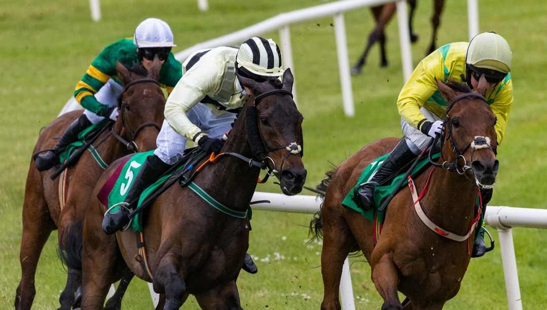 Three jockeys race their horses down the track.