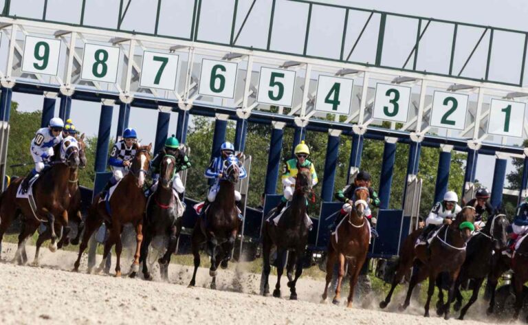 Horses burst out of the gates at the start of a race.