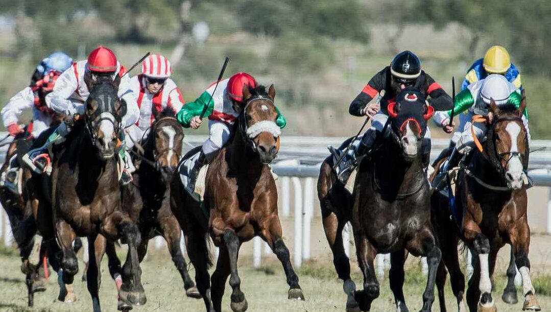 Jockeys racing their horses on a track.