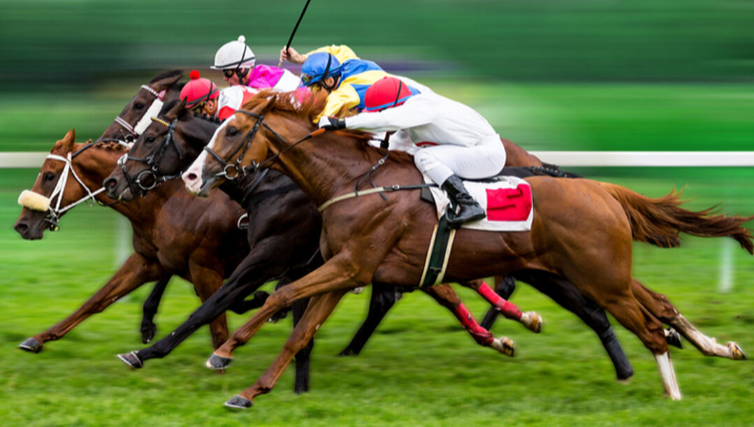 Horses compete on a race track.