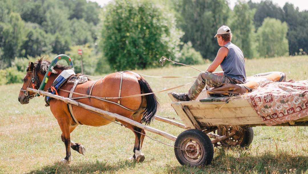 A man on a wooden cart being pulled by a horse.