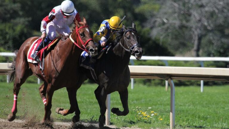 Two horses and their jockeys racing neck and neck.