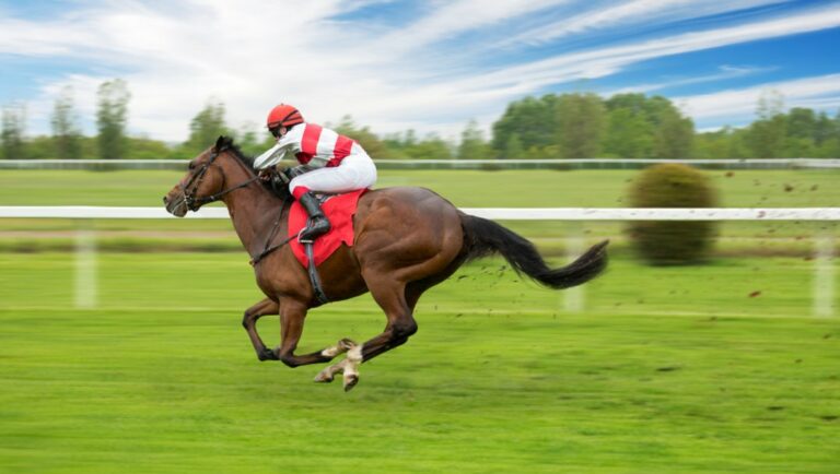 A horse blazes down the track with its jockey.