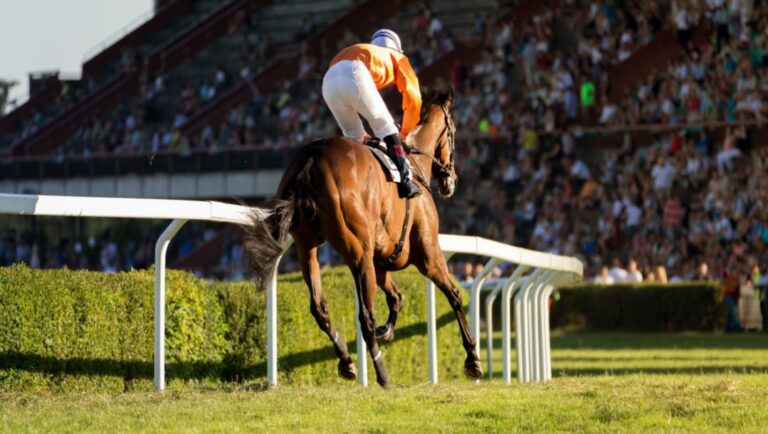 A jockey and horse on a horse track.