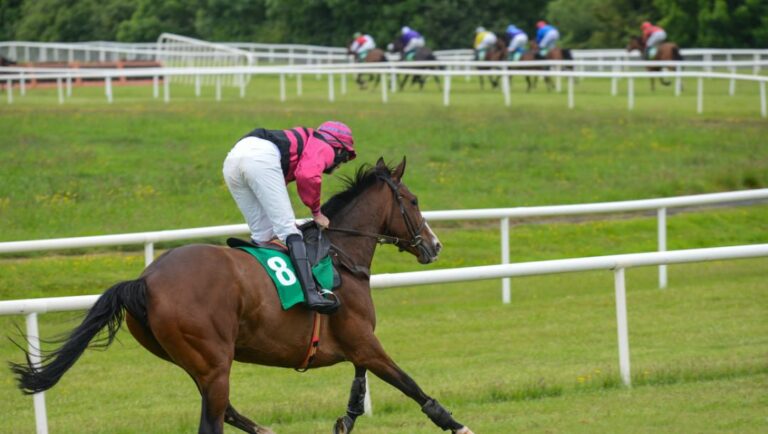 A racehorse trailing far behind the pack in a race.