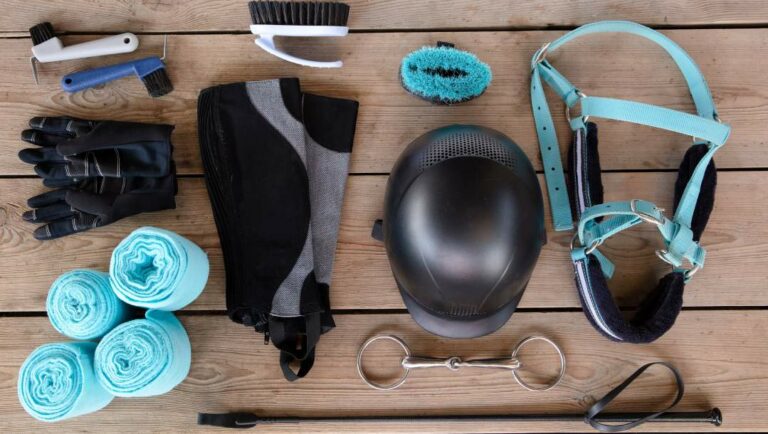 Top view of horse care riding equipment on a wooden table.