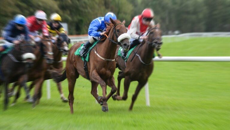 Horses galloping down a track during a horse race.