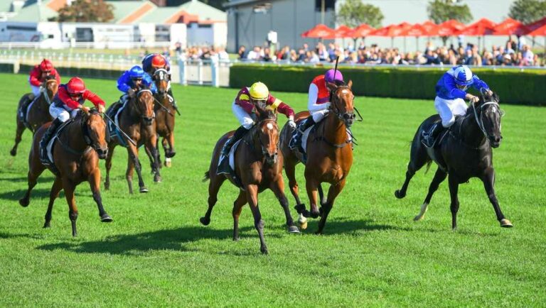 Several horses and their jockeys race down a straight on a horse race track.