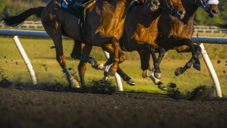 Three horses racing on a dirt track.