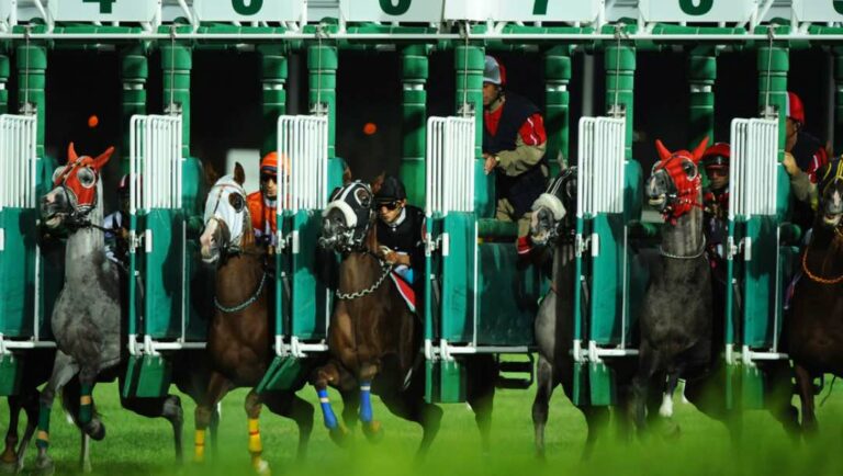 Racehorses coming out of the starting gates.