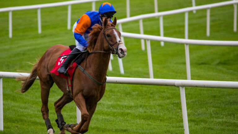 A racehorse and jockey running on a track.