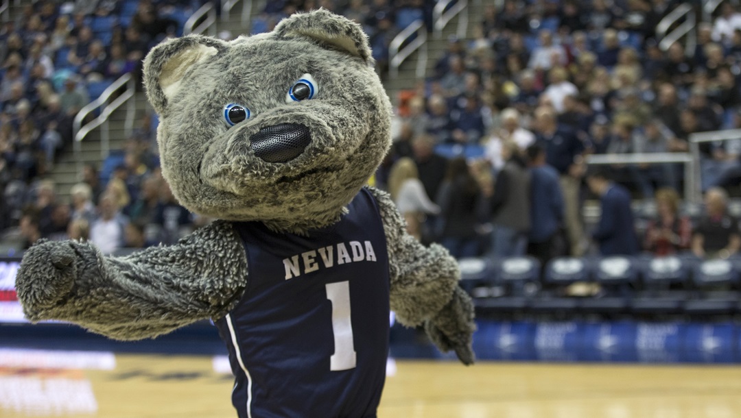 The Nevada mascot dances during their NCAA college basketball game against New Mexico in Reno, Nev., Saturday, Feb. 9, 2019.