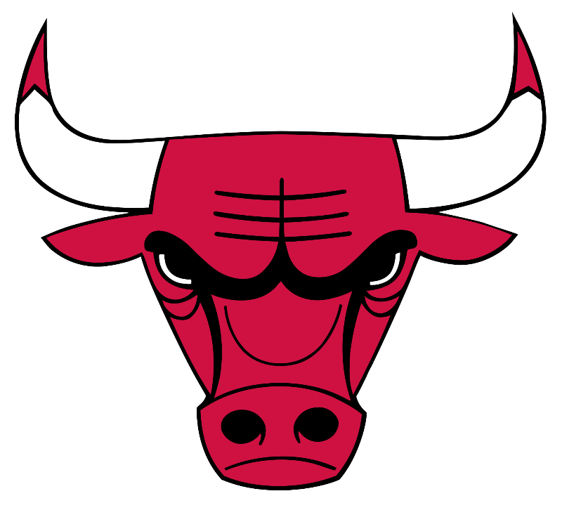 Chicago Bulls Logo