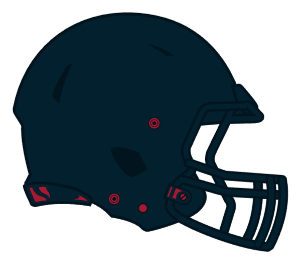 Houston Texans Logo