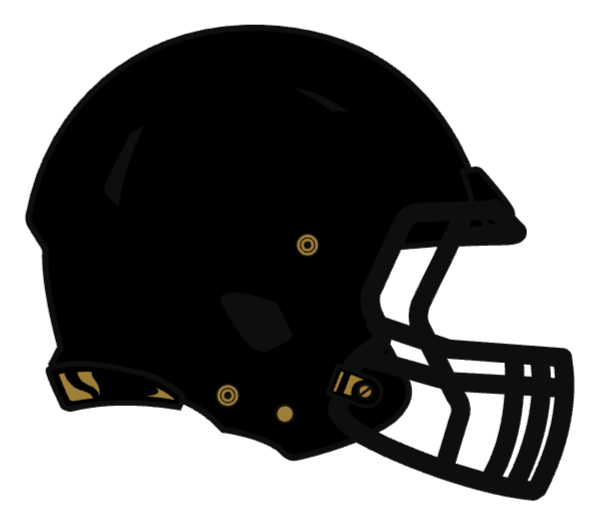 Wake Forest Football Logo