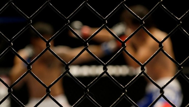 The octagon cage is shown as Tiago Trator, left, fights Akbarh Arreola during a lightweight mixed martial arts bout.