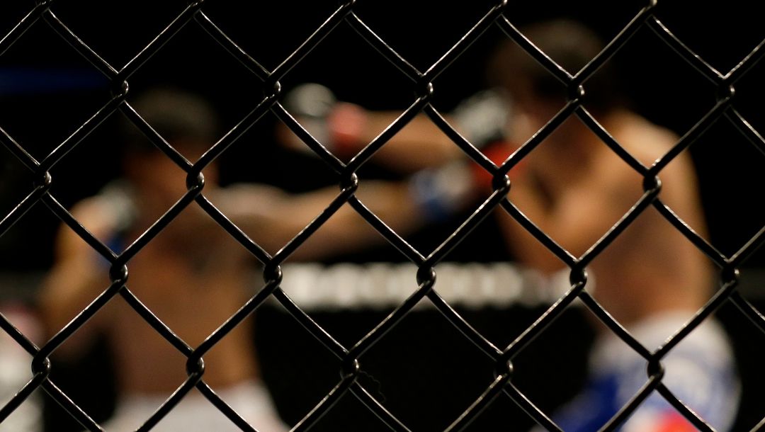 The octagon cage is shown as Tiago Trator, left, fights Akbarh Arreola during a lightweight mixed martial arts bout.