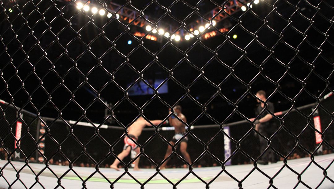 An overall, general view of anonymous action in the Octagon at UFC 159 in Newark, NJ, Saturday, April 27, 2013.