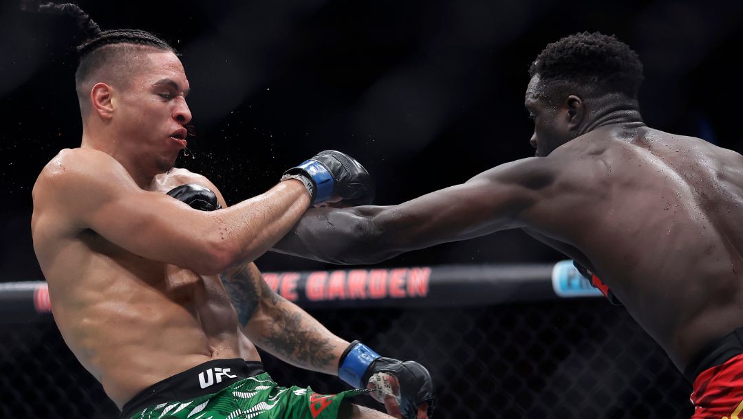 Uganda's David Onama, right, punches Mexico's Roberto Romero in a UFC 309 mixed martial arts lightweight title bout.