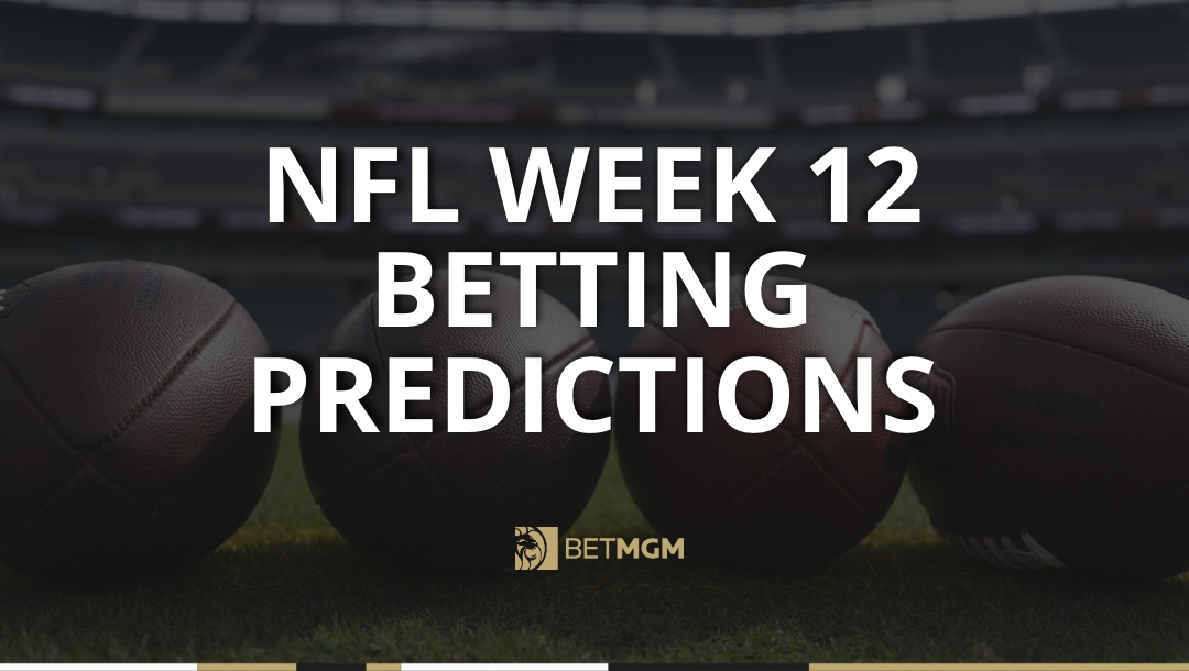 Get my NFL expert picks for Week 12 of the 2025 NFL season, including an against the spread prediction for Packers vs Vikings.