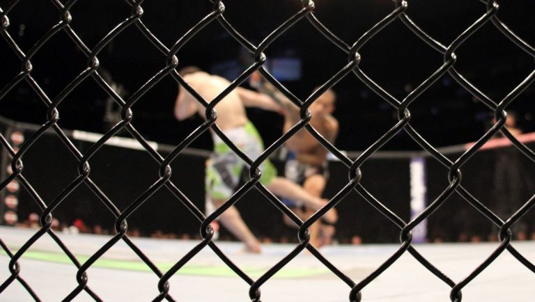An overall, general view of anonymous action in the Octagon at UFC 159 in Newark, NJ, Saturday, April 27,2013.