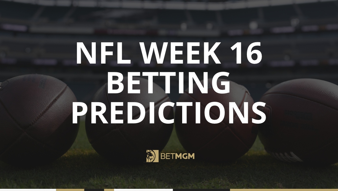 Get my NFL expert picks for Week 16 of the 2025 NFL season, including an against the spread prediction for Seahawks vs Rams.
